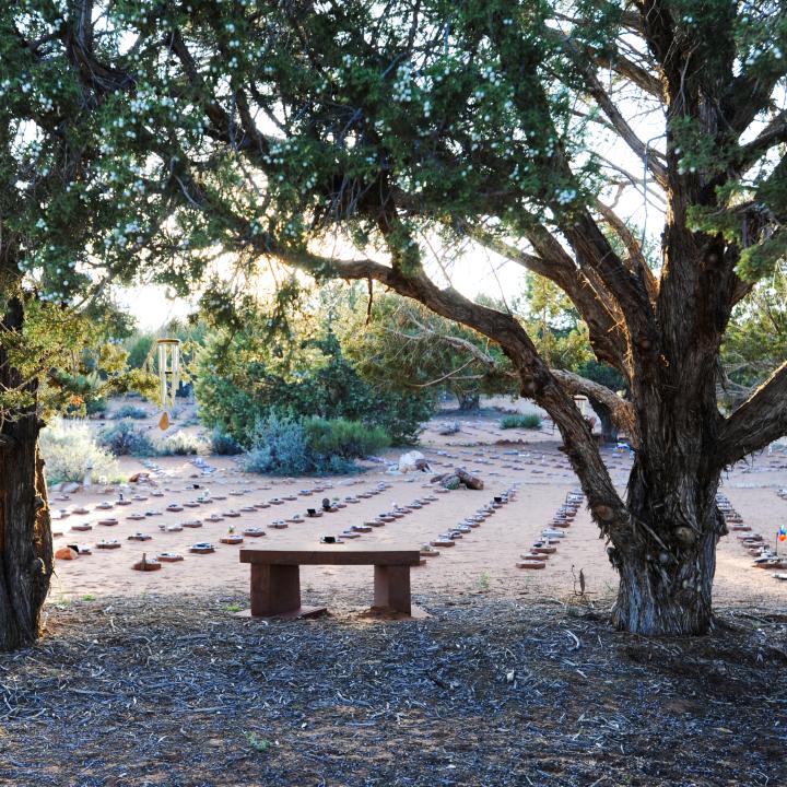 Bench overlooking Angels Rest